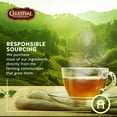 thumbnail image 3 of Celestial Seasonings Sugar Plum Spice Holiday Herbal Tea, 3 of 6