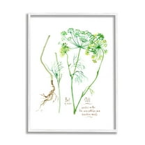 Stupell Industries Dill Greens Best of Herbs Watercolor Garden Plants Food & Beverage Painting White Framed Art Print Wall Art, 24 x 30