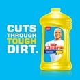 thumbnail image 5 of Mr. Clean Multi-Surfaces Summer Antibacterial Liquid All-Purpose Cleaner, Citrus Scent, 176 Ounce, 5 of 6