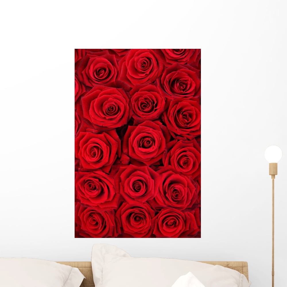 Red Roses Wall Mural by Wallmonkeys Peel and Stick Graphic (24 in H x 16 in W) WM67424