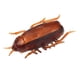 thumbnail image 1 of Juguete de Cucaracha Falsa ANGGREK Plástico Electrónico Seguro para Decoración Espeluznante, 1 of 7