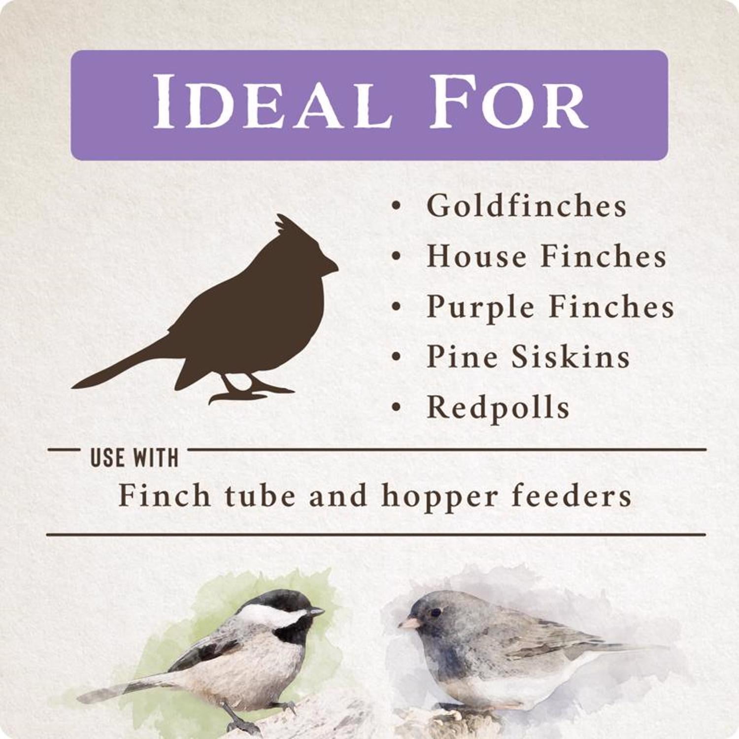 Songbird Selections Wild Finch Feast Wild Bird Seed Wild Bird Food 5 lb