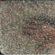Exquisite Beaded Fabric Material for Elegant Bridal Gowns & Special Occasions
