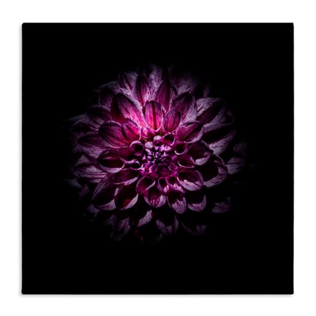 Purple Dahlia Dark Contemporary Canvas Wall Art design by Brian Carson Photography