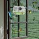 thumbnail image 4 of Bird Feeder With Camera 1080P Night Camera WiFi Hotspot For Remote Connection To Mobile Phone For Outdoor Bird Watching Pictures, 4 of 9