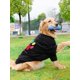 thumbnail image 2 of 1pc Blue Summer Short Sleeve T-shirt For Large Dogs, Comfortable, Breathable And Anti-shedding, 2 of 5