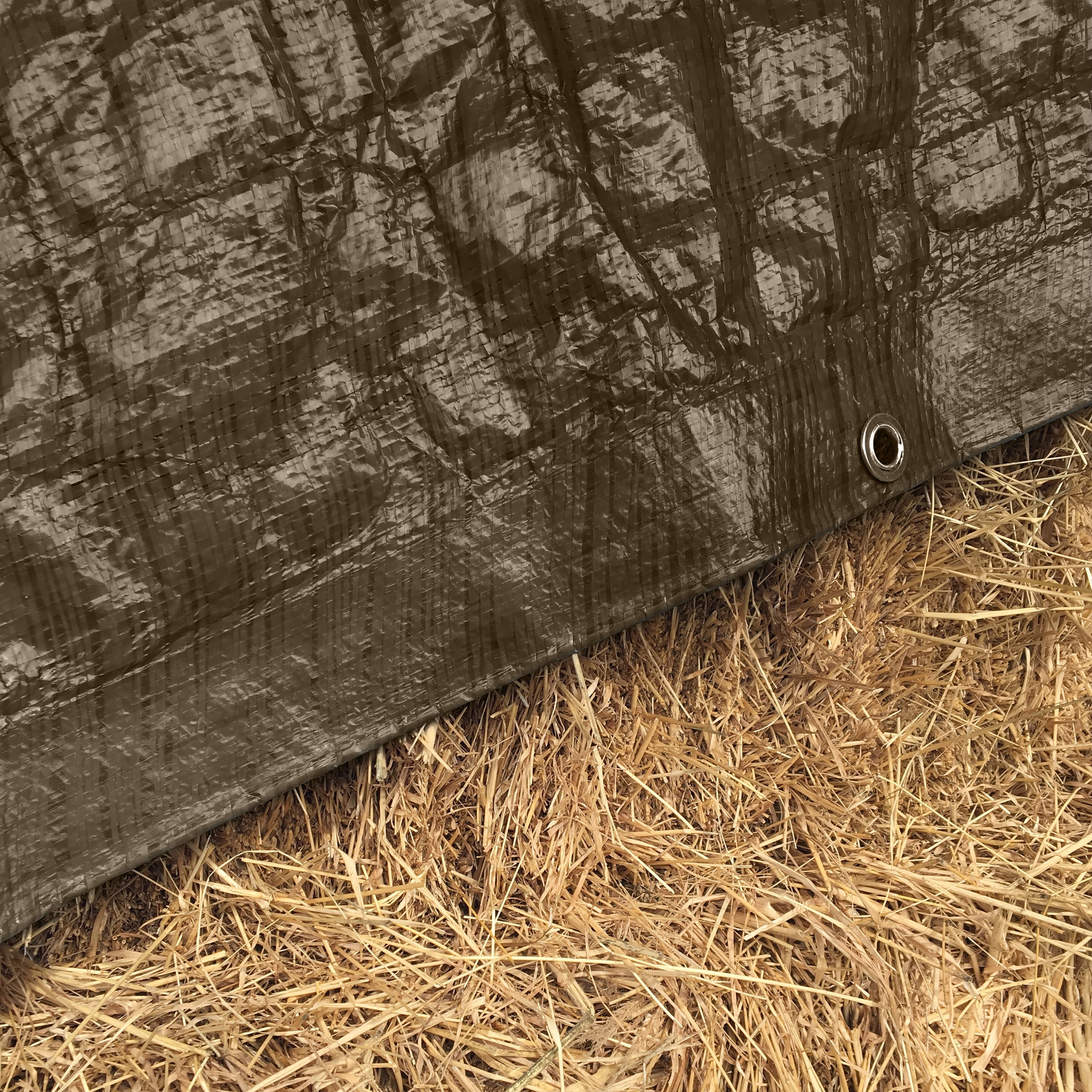 Strategy 16 Mil Construction Grade Polyethylene Tarp Cover 12' x 10'