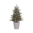 thumbnail image 4 of Celebrations 9080945 4 ft. Full LED 80 Light Misty Allison Pine Christmas Tree, Clear & Warm White, 4 of 4