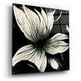 thumbnail image 2 of Epic Art 'Flowers Black White 10' by Ray Heere, Acrylic Glass Wall Art, 36"x36", 2 of 8