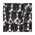 thumbnail image 1 of Border Collie Gaze - Canvas, 1 of 10