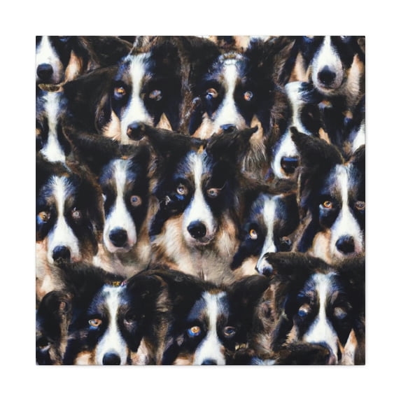 Border Collie Gaze - Canvas