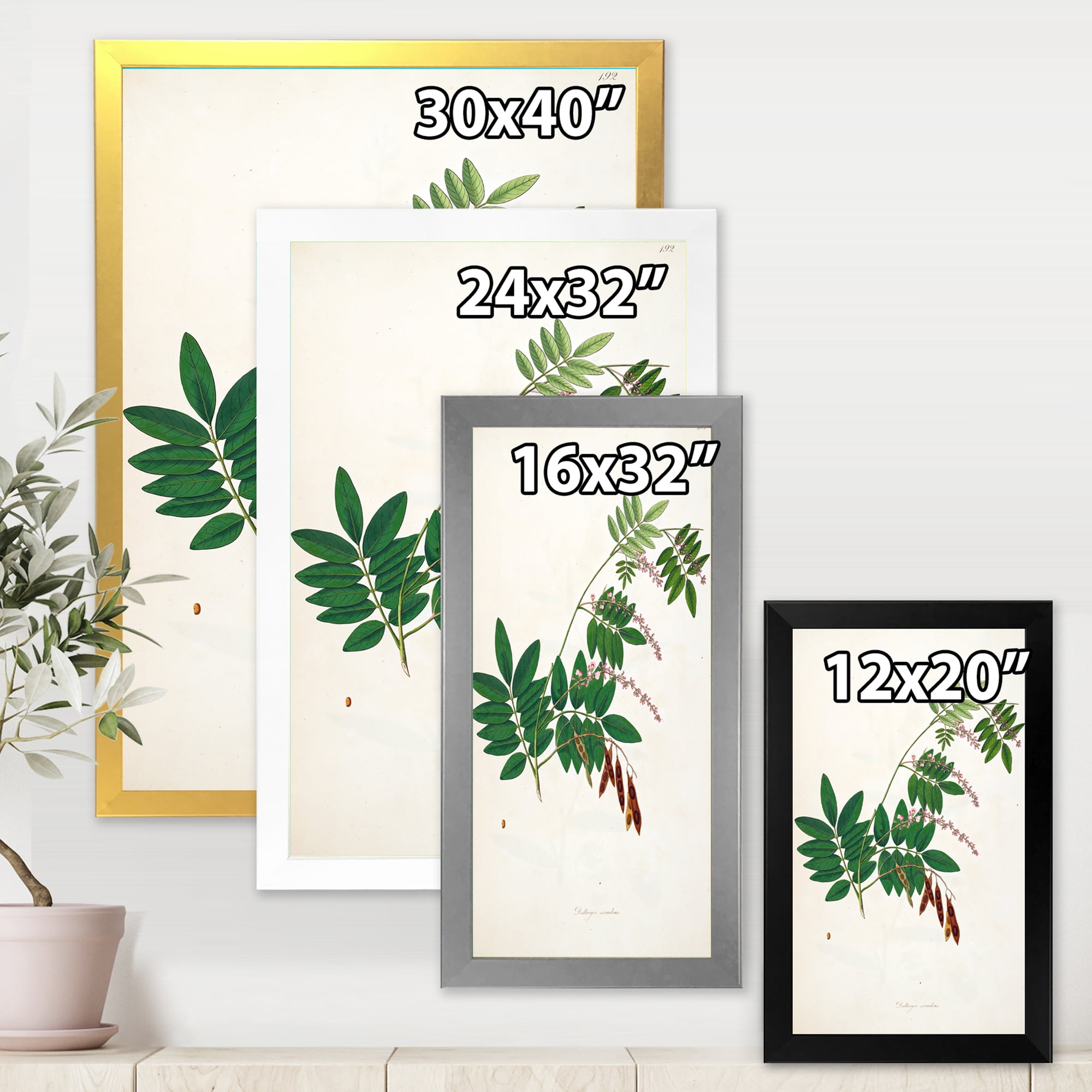 Designart 'Ancient Botanicals XI' Farmhouse Framed Art Print