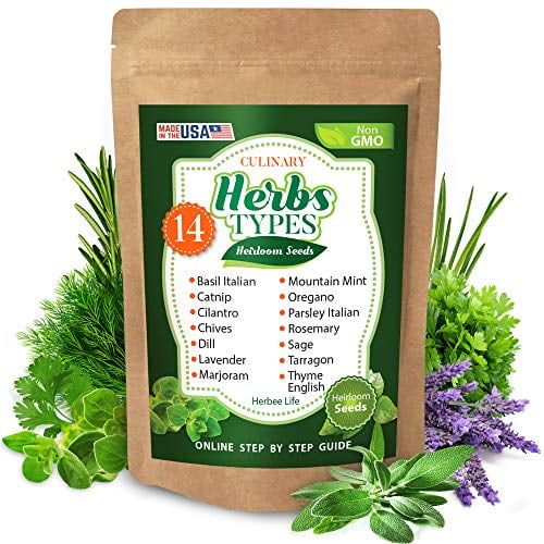Culinary Herb Seeds for Planting 14 Herb Types Basil, Lavender