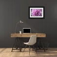 thumbnail image 3 of Foschino, Suzanne 18x13 Black Ornate Wood Framed with Double Matting Museum Art Print Titled - Purple Dahila, 3 of 4