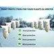 thumbnail image 2 of 2 Pack Winter Plant Cover, 100 x 80cm, Reusable Plant Protection, Compatible with Outdoor Plants, 2 of 5