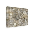 thumbnail image 2 of Trademark Fine Art 'Neutral Agate' Canvas Art by Albena Hristova, 2 of 3