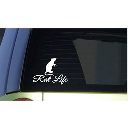 Rat Life *I278* 6