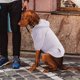 thumbnail image 4 of Suéter de invierno para perros pequeños, sudadera con capucha cálida para otoño, ropa para cachorros medianos y con bolsillo, ropa para mascotas, ropa para perros grandes, vestidos para perros, 4 of 8