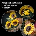 thumbnail image 6 of LEGO Botanicals Sunflower Bouquet Building Set for Adults, Ages 18+ - Gift for Mothers Day - Artificial Flowers for Home Office, Bedroom or Desk Decor - 11502, 6 of 9