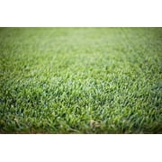Barenbrug Turf Saver RTF Tall Fescue Grass Seed, 10 lb - Less Water, Self-Repairing