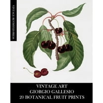 Vintage Art: Giorgio Gallesio 20 Botanical Fruit Prints, (Paperback)