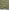 Dusty Green, variant on Soimoi Cotton Duck Fabric Dots Shirting Print Sewing Fabric Yard 42 Inch Wide