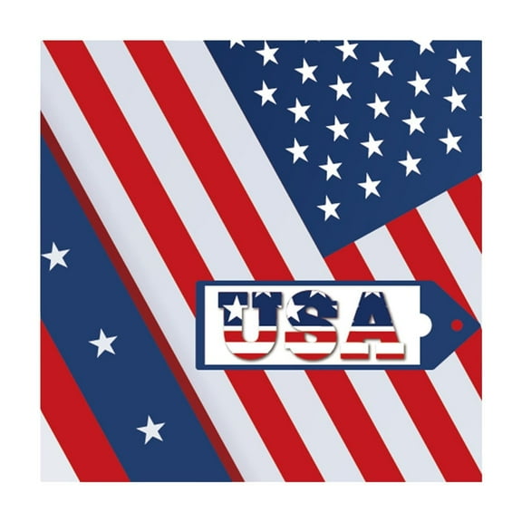 Nkmbld Independence Day Disposable Tableware Picnic Plates Cup Napkin Party Supplies Patriotic Party Decor Outdoor Picnic Special Offers, Multicolor