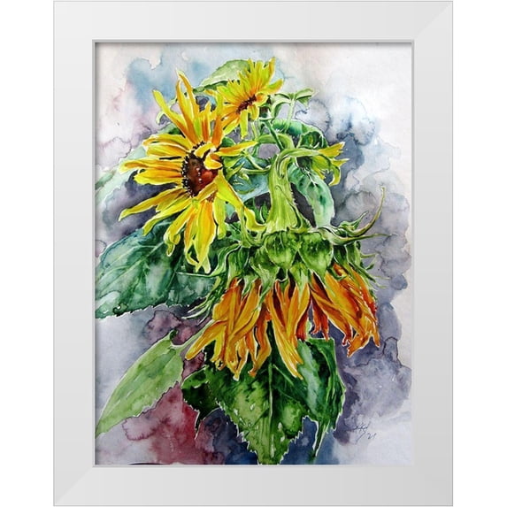 Kovacs, Anna Brigite 25x32 White Modern Wood Framed Museum Art Print Titled - Sunflowers