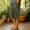 Army Green, variant on JUSLIO Capris for Women High Waist, with Pockets Drawstring Casual Everyday Linen Capris