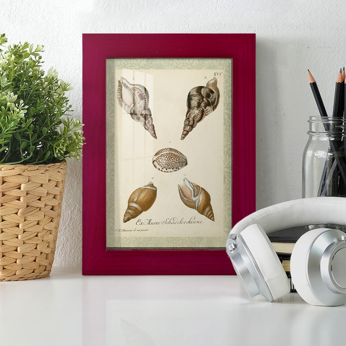 Bookplate Shells VIII - Framed Print w/glass - Cherry Red
