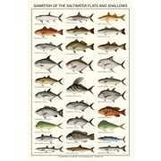 Fish Poster: Saltwater Flats and Shallows Fish Identification Chart