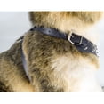 thumbnail image 5 of Collar y arnés de perro con clavos tachonados de cuero antis del arnés del collar del animal doméstico del remache de la mordedura, 5 of 5