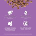 thumbnail image 5 of GO! SOLUTIONS CARNIVORE Grain Free Chicken, Turkey + Duck Recipe for cats, 5 of 5