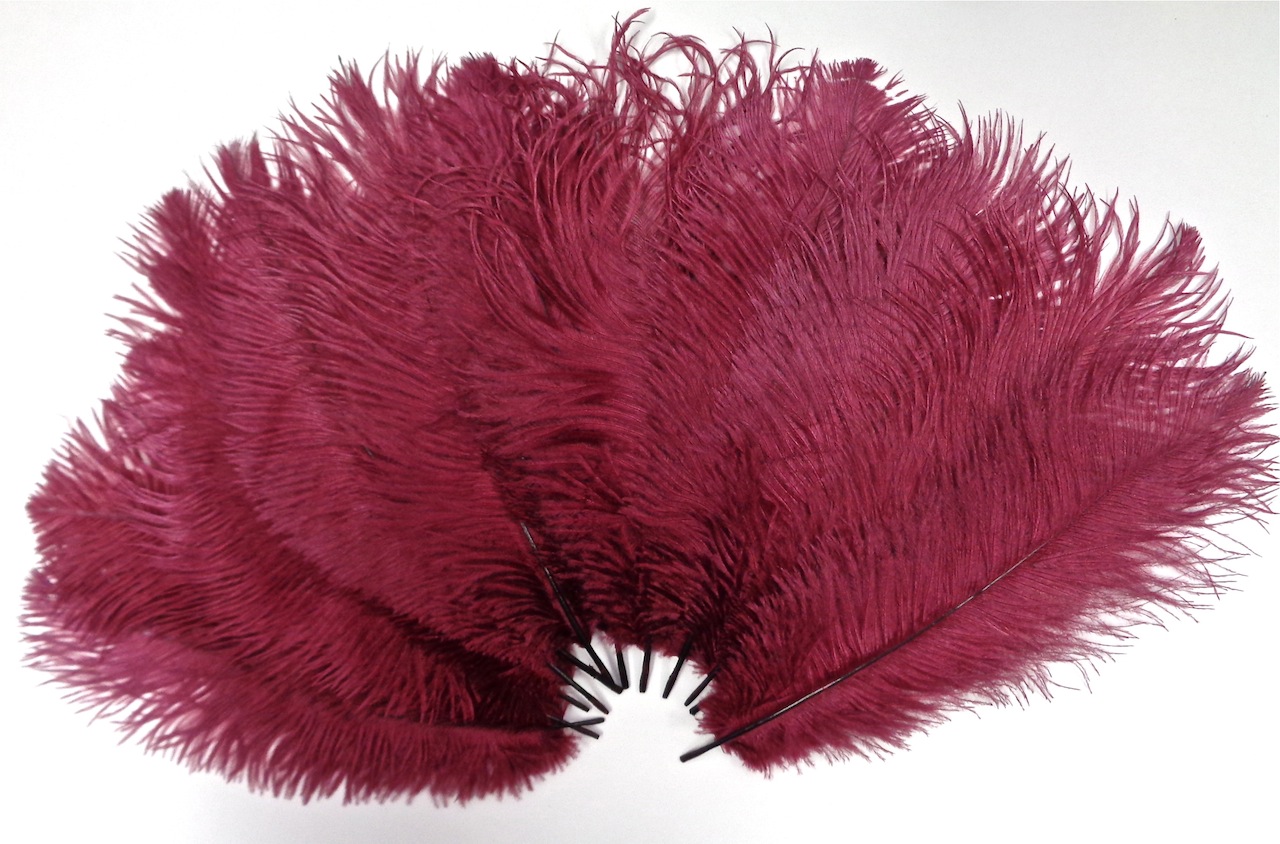 Burgundy Ostrich Feathers 812 Inch per Six (6)