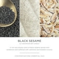thumbnail image 3 of Chesapeake Bay Candle Minimalist Collection Black Sesame - 10.1oz Soft-Touch Medium Ribbed Jar Candle, 3 of 8