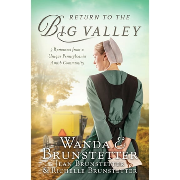 Pre-Owned Return to the Big Valley (Paperback) 1643528718 9781643528717