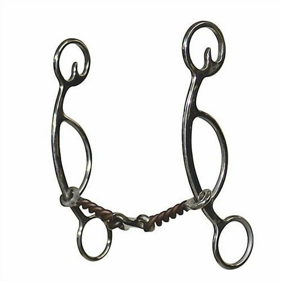 Reinsman Charmayne James Ryan Sliding Gag Bit