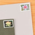 thumbnail image 5 of Garden Beauty Forever USPS Postage Stamps Book of 20 US Postal First Class Wedding Celebration Anniversary Flower Party (20 Stamps), 5 of 6