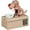 Brown and Red, variant on Dog Piggy Bank, My Dog Piggy Bank, Puppy Money Saving Box, Cute Automatic Stealing Coin Bank, Bank Money Saving Box Dog Shake Heads Tail Ears Rotating(Brown)