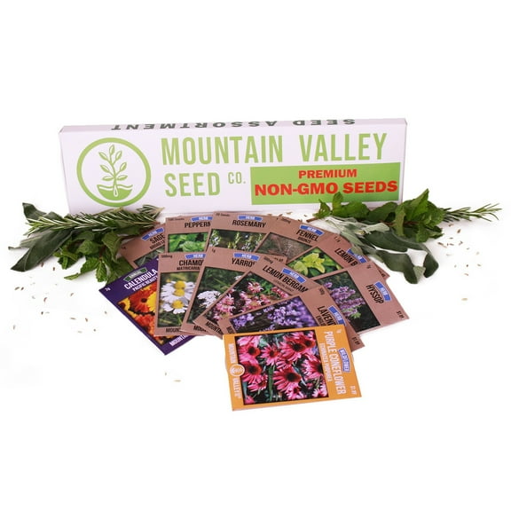 Medicinal & Herbal Tea Garden Seed Collection - Deluxe Assortment - 12 Non-GMO Herb Seed Packets: Sage, Rosemary, Fennel, Lemon Balm, Hyssop, Peppermint, More