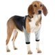 thumbnail image 1 of Funda De Recuperación Para Perros Para Evitar Lamer Mordeduras, Protector De Patas Delanteras Para Perros, Tela Transpirable, Adecuado Para Actividades Al Aire Libre, 1 of 7