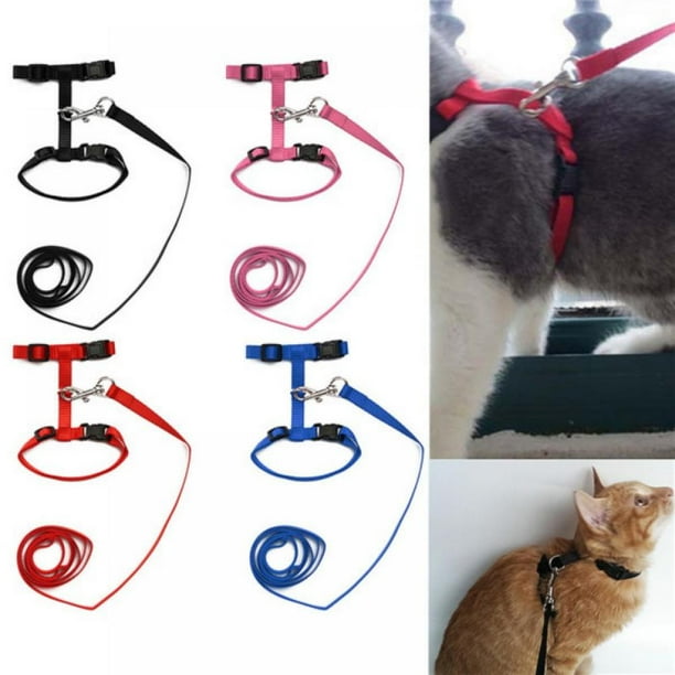 Cat Harness with Leash Kitty Harness and Bungee Leash Adjustable Safe