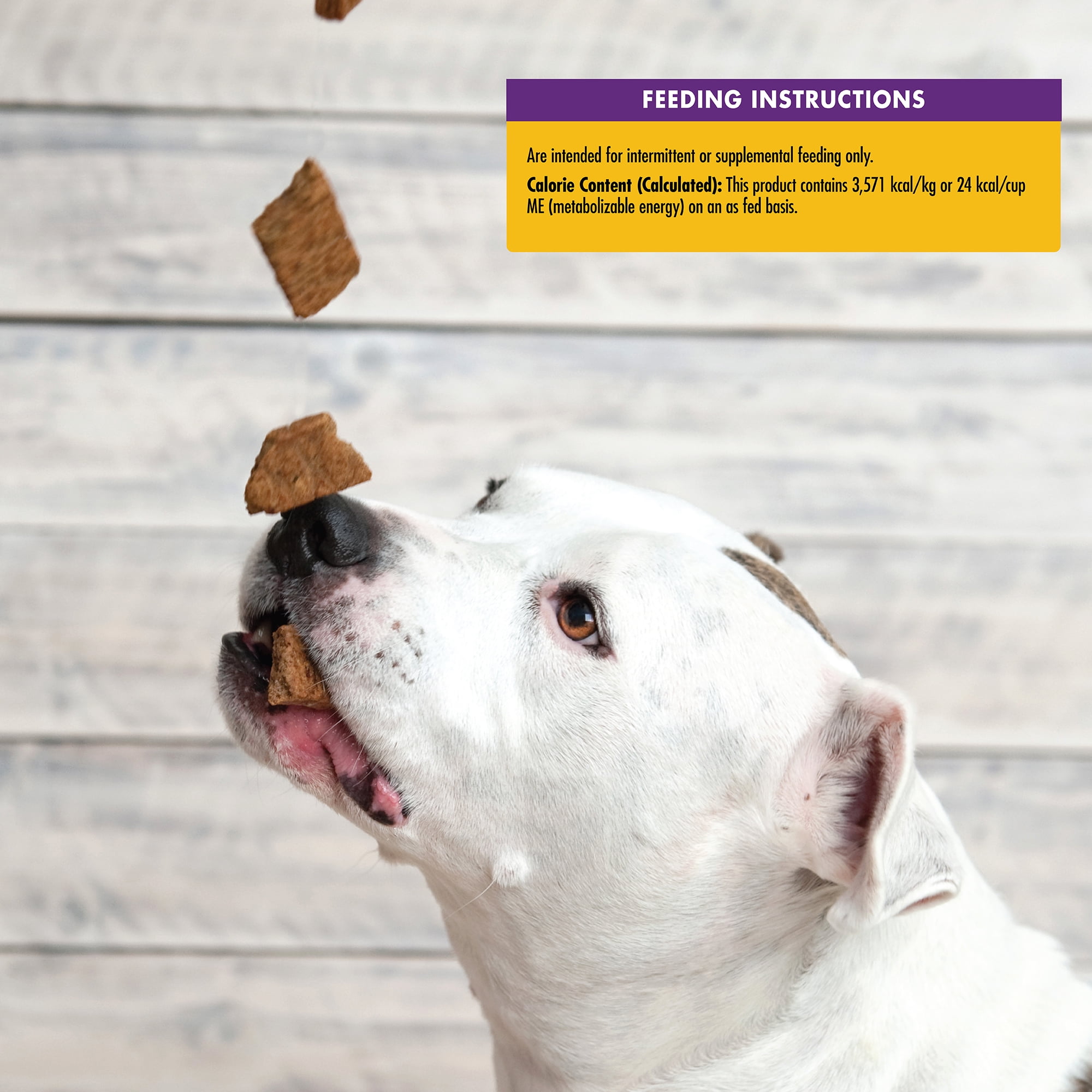 Wellness WellBars Natural Grain Free Crunchy Dog Treats Yogurt Apples Banana 50 Ounce Box Walmart