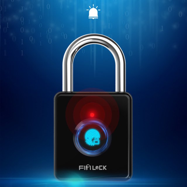 Dvkptbk Fingerprint Padlock, Smart Keyless Lock,Locker Lock, Biometric Metal Keyless Thumbprint Lock, Water Proof, USB Rechargeable,For Locker, Backpack, Suitcase - Black Friday Clearance