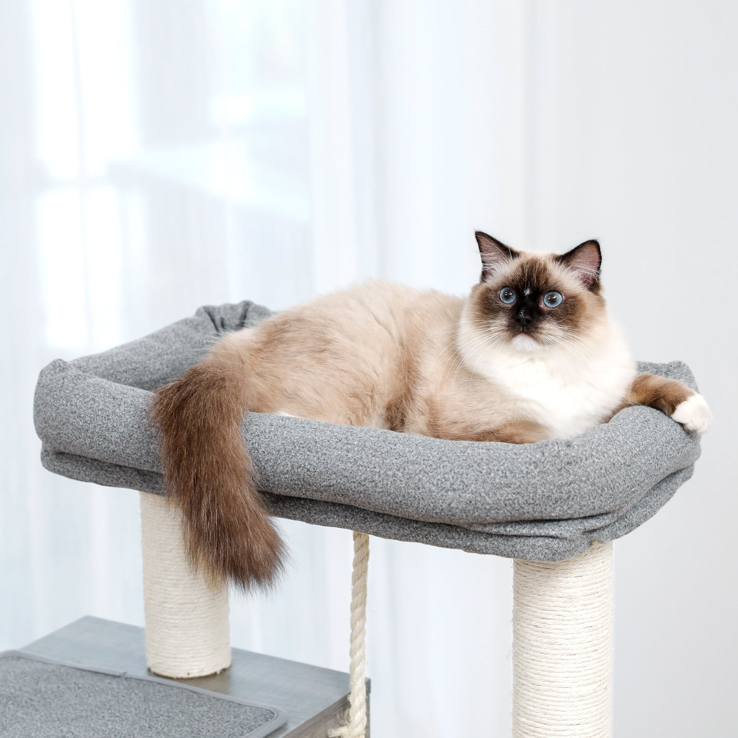 Pefilos 59" Multi-Level Cat Tree for Indoor Cats Modern Cat Activity Tower for Large Cat With Sisal Scratching Posts, Cat Condo for Multiple Cats Hammock And Extra-Large Top Perch, Gray Pefilos 59" Multi-Level Cat Tree for Indoor Cats Modern Cat Activity Tower for Large Cat With Sisal Scratching Posts, Cat Condo for Multiple Cats Hammock And Extra-Large Top Perch, Gray
