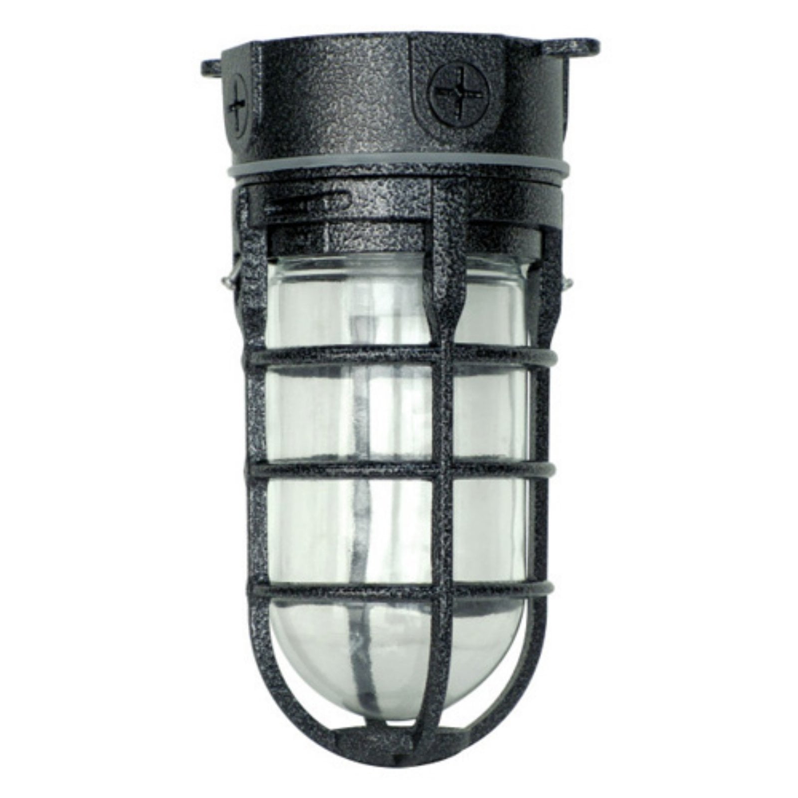 Ceiling mount security sale light