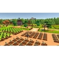 thumbnail image 2 of Life In Willowdale: Farm Adventures for PlayStation 4, 2 of 7