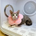 thumbnail image 4 of PET SUOND Adjustable Soft Pet Collar for Dogs & Cats, Comfortable Wear for Daily Walking, 4 of 5