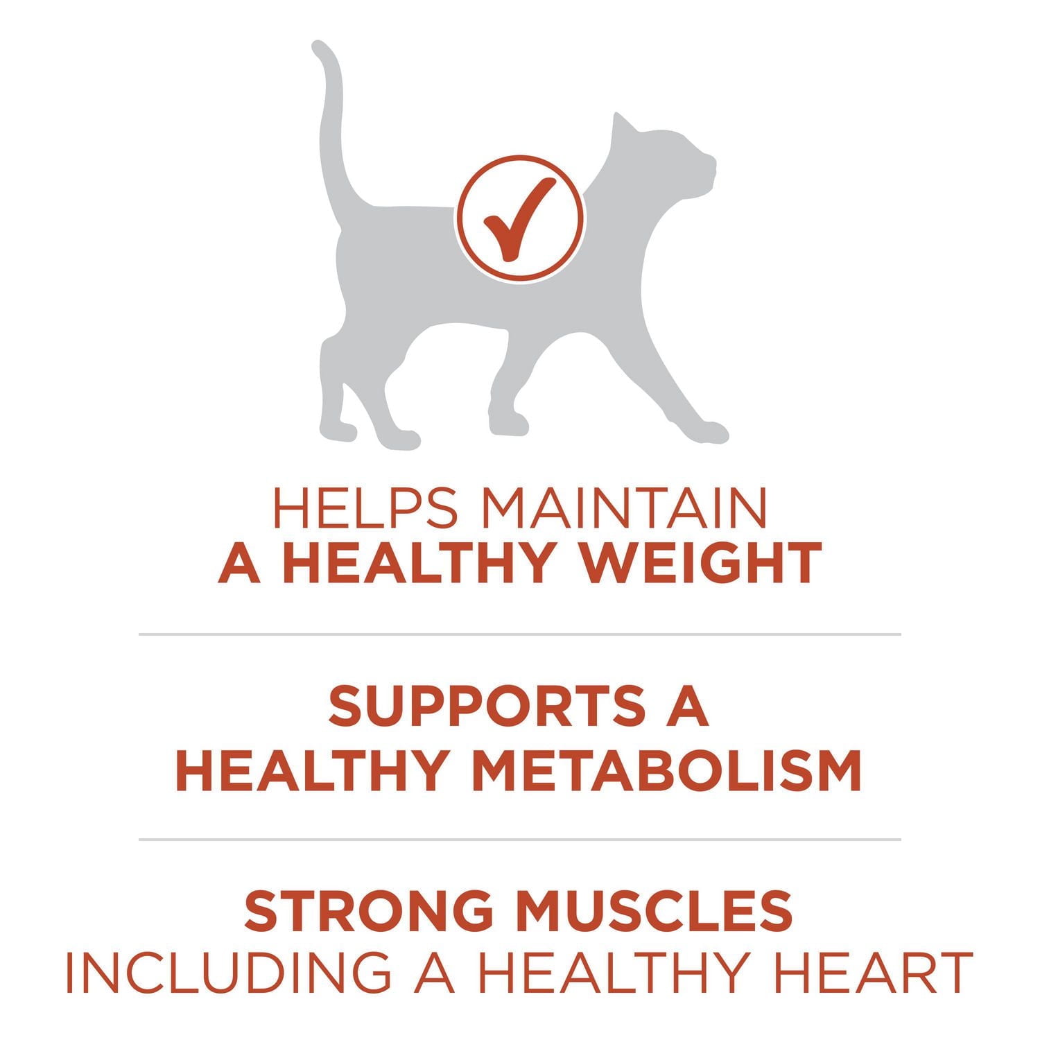 Purina ONE +Plus High Protein Chicken Formula, Dry Cat Food 1.8 kg, 1.8 kg