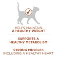 thumbnail image 4 of Purina ONE +Plus High Protein Chicken Formula, Dry Cat Food 1.8 kg, 4 of 9